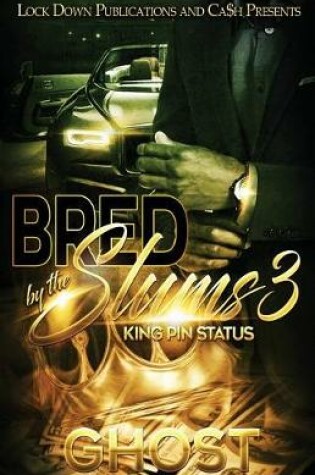 Cover of Bred by the Slums 3