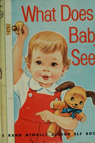 Cover of What Does Baby See?