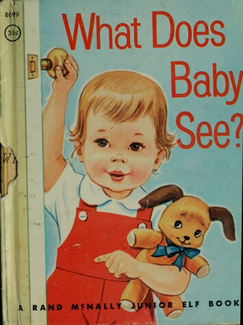 Book cover for What Does Baby See?
