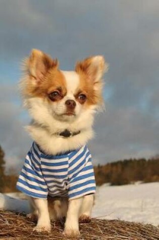 Cover of Styling Long-Haired Chihuahua Dog in a Blue Striped Shirt Pet Journal