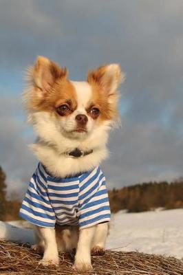 Book cover for Styling Long-Haired Chihuahua Dog in a Blue Striped Shirt Pet Journal
