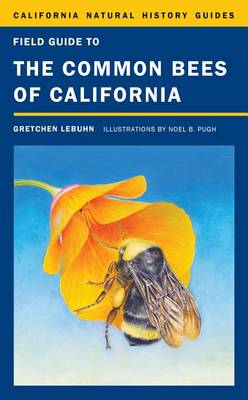 Book cover for Field Guide to the Common Bees of California