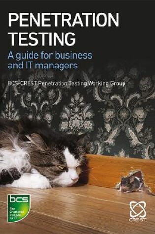 Cover of Penetration Testing