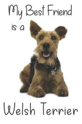 Cover of My best Friend is a Welsh Terrier