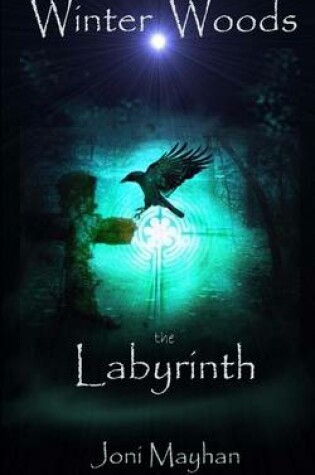 Cover of The Labyrinth