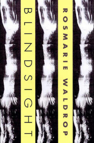 Cover of Blindsight