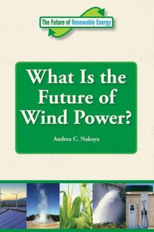 Cover of What Is the Future of Wind Power?