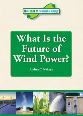 Book cover for What Is the Future of Wind Power?