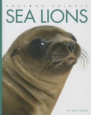 Cover of Sea Lions
