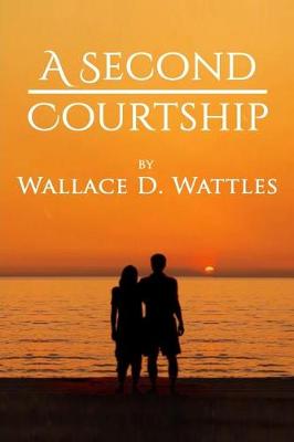 Book cover for A Second Courtship