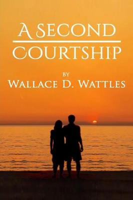 Cover of A Second Courtship