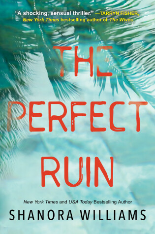 Cover of The Perfect Ruin