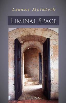Book cover for Liminal Space