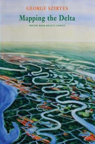 Cover of Mapping the Delta