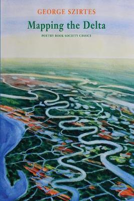 Book cover for Mapping the Delta