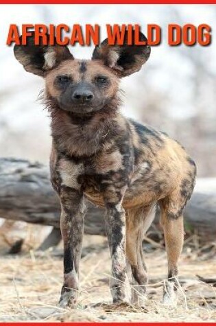 Cover of African wild dog