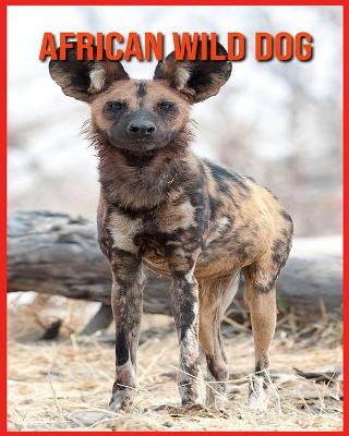 Book cover for African wild dog