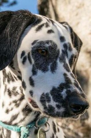 Cover of A Darling Black and White Dalmatian Dog Pet Journal