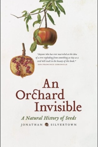 Cover of An Orchard Invisible