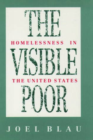 Cover of The Visible Poor