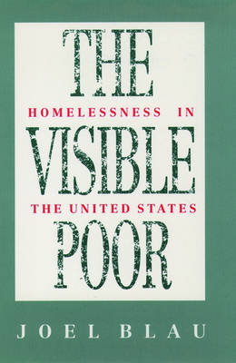 Book cover for The Visible Poor