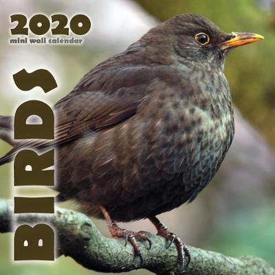 Book cover for Birds 2020 Mini Wall Calendar