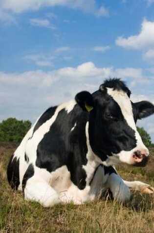 Cover of A Holstein Cow Relaxing in the Meadow