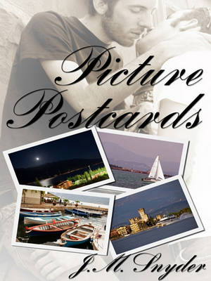 Book cover for Picture Postcards