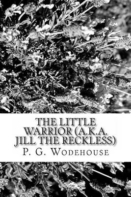 Book cover for The Little Warrior (A.K.A. Jill the Reckless)