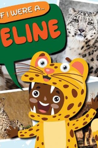 Cover of Feline