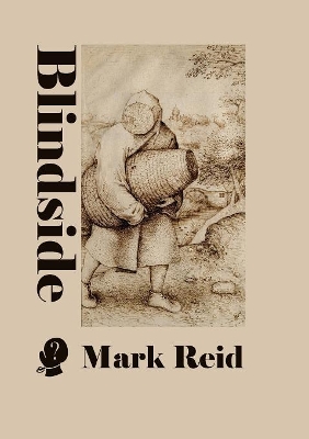 Book cover for Blindside