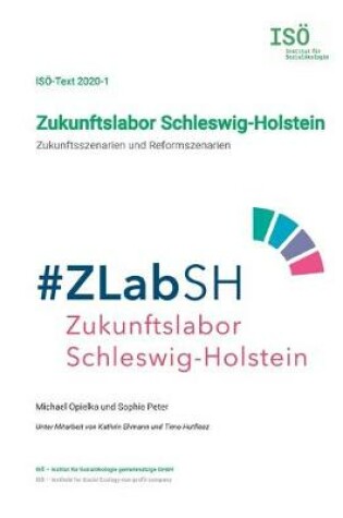 Cover of Zukunftslabor Schleswig-Holstein