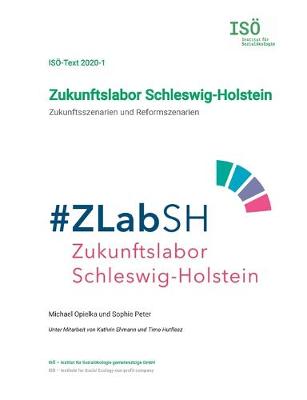 Book cover for Zukunftslabor Schleswig-Holstein