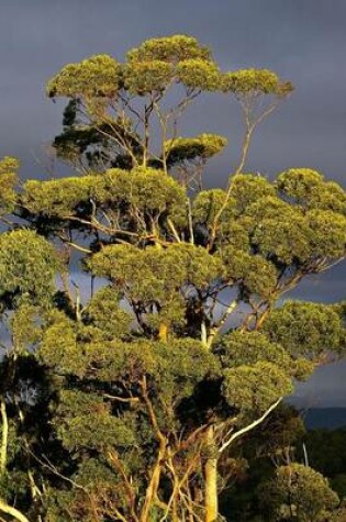 Cover of Eucalyptus Gum Tree Journal