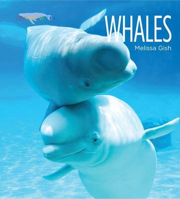 Cover of Whales