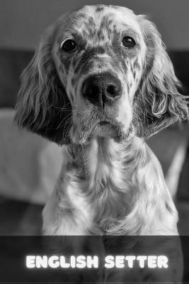 Book cover for English Setter