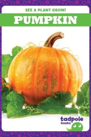 Cover of Pumpkin