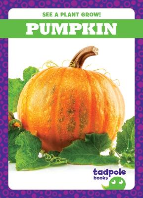 Book cover for Pumpkin