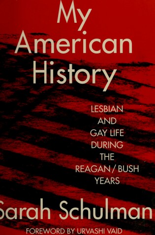 Cover of My American History