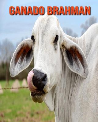 Book cover for Ganado brahman