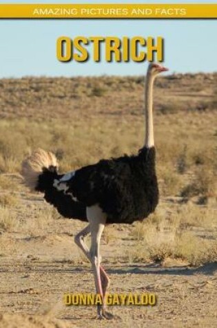 Cover of Ostrich