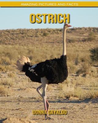 Book cover for Ostrich