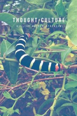 Cover of Thought-Culture