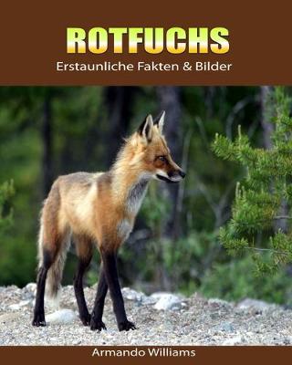 Book cover for Rotfuchs