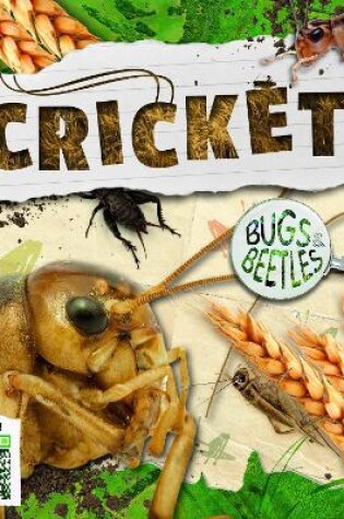 Cover of Crickets