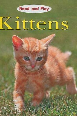 Cover of Kittens