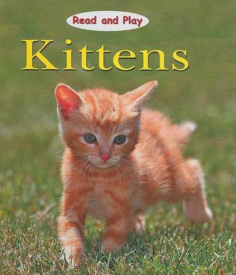 Book cover for Kittens