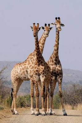 Book cover for Three Giraffes hanging out on the Savannah Animal Journal