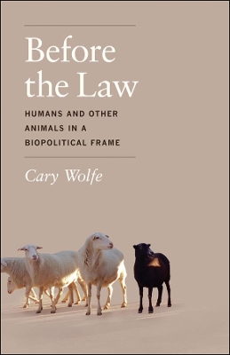 Book cover for Before the Law