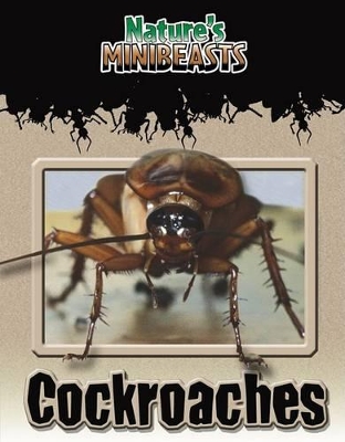 Book cover for Cockroaches